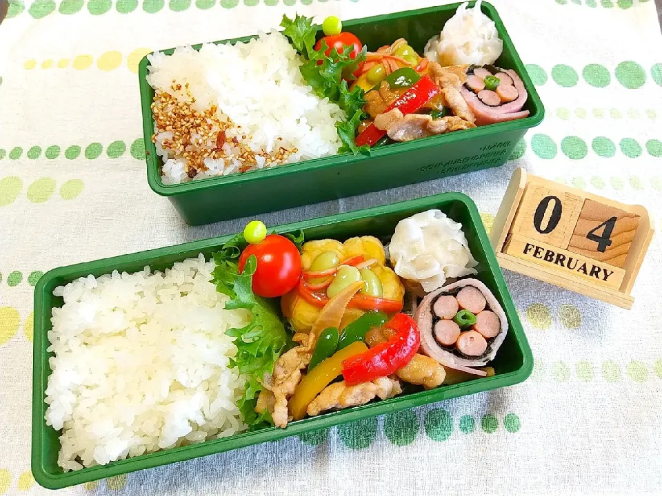 🍱今日の息子達のお弁当|tomoさん