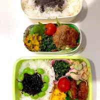 Snapdishの料理写真:年中男子お弁当|サニーさん