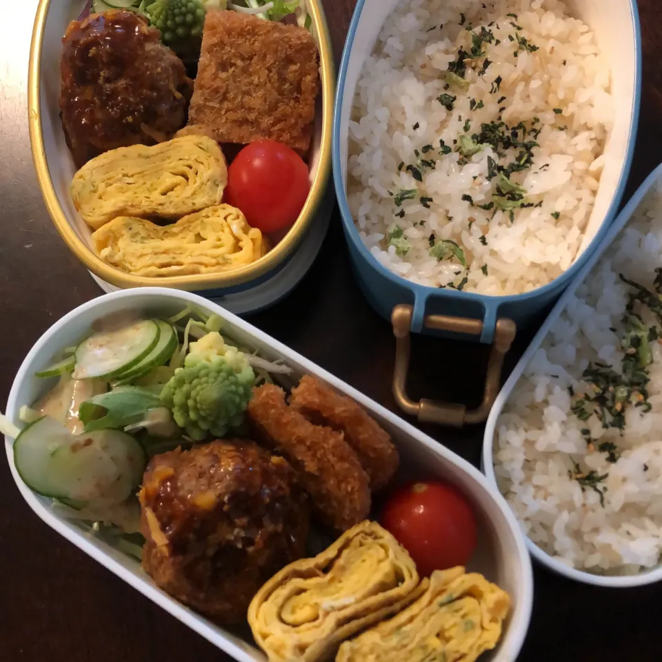 Snapdishの料理写真:ハンバーグ弁当|charinkoqさん