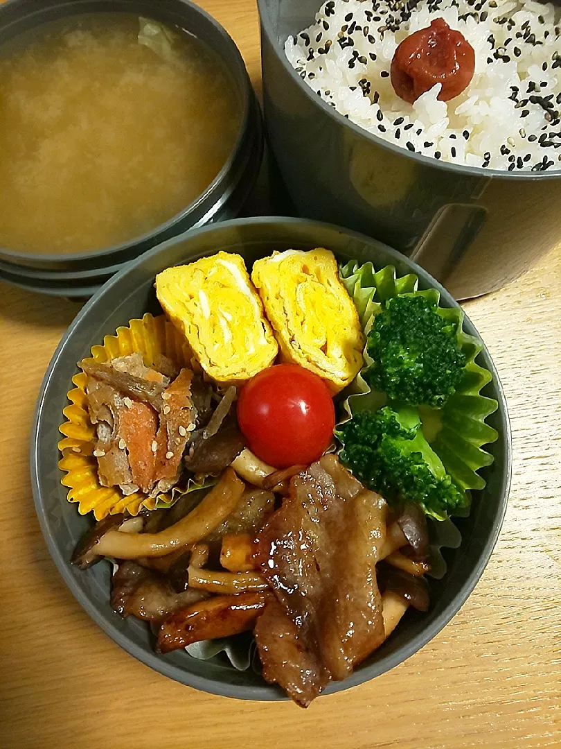 今日のお弁当|テカチュウさん