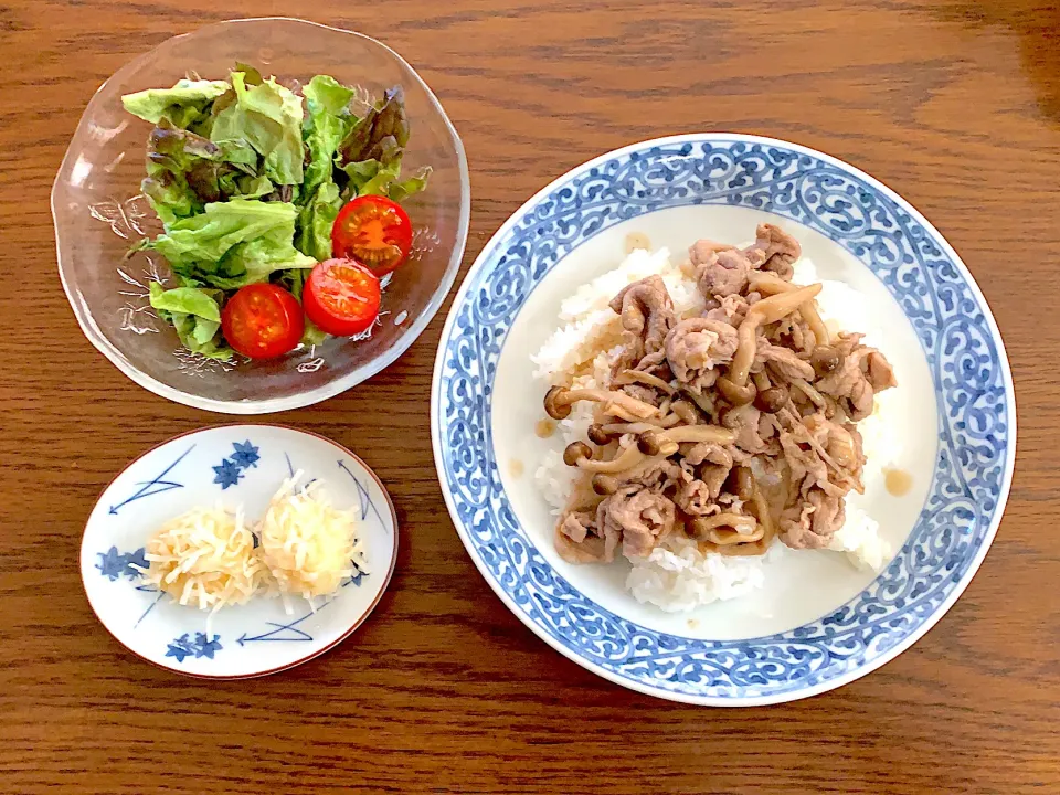 豚丼🍚今日の昼食20210206|rococoさん