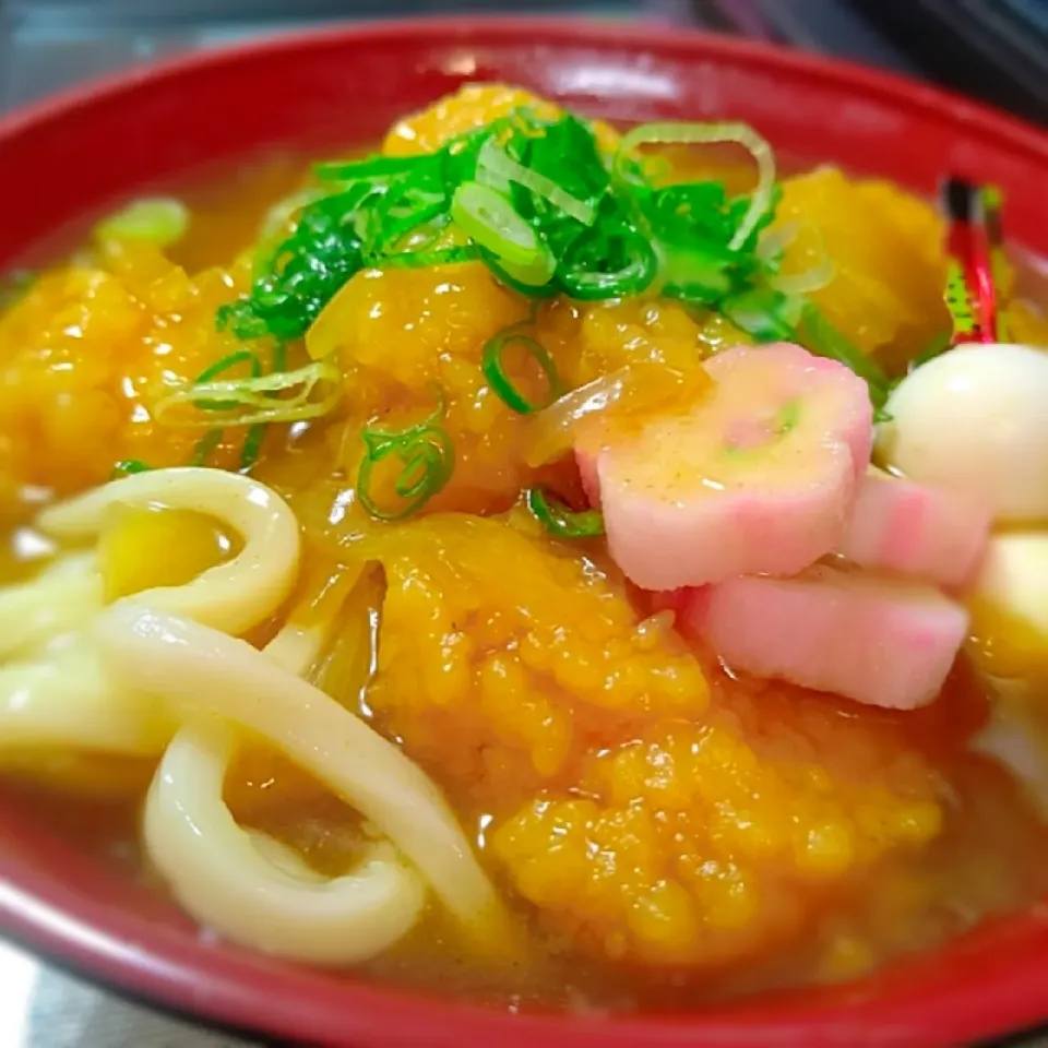 鶏天入りカレーうどん～♪♪|砂糖味屋キッチンさん