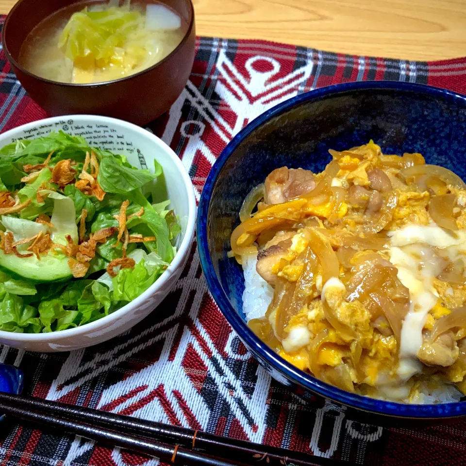 親子丼、サラダ、味噌汁(カブ、キャベツ、油揚げ)|ツインうさぎさん