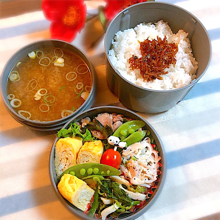 今日のお弁当|さとみこさん