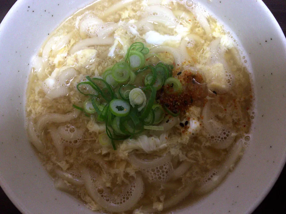 Snapdishの料理写真:卵とじうどん|ばーさんさん