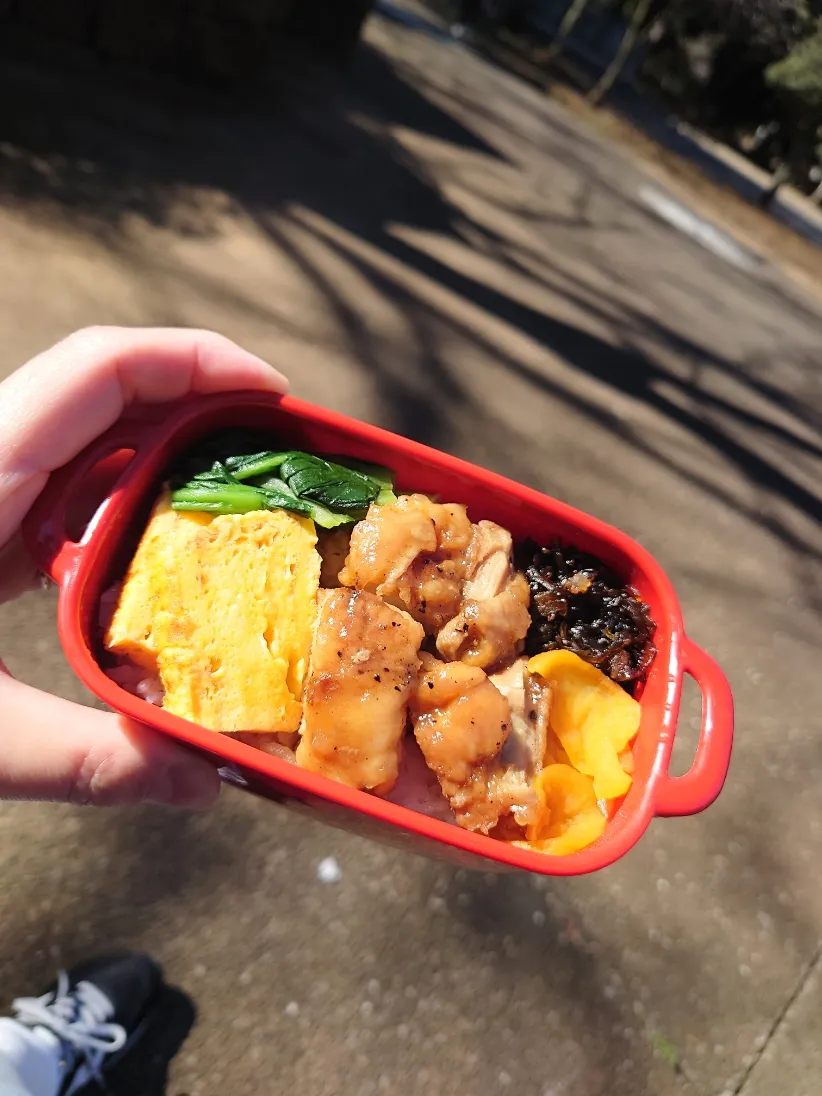 ★公園でお弁当★|☆Chieco☆さん