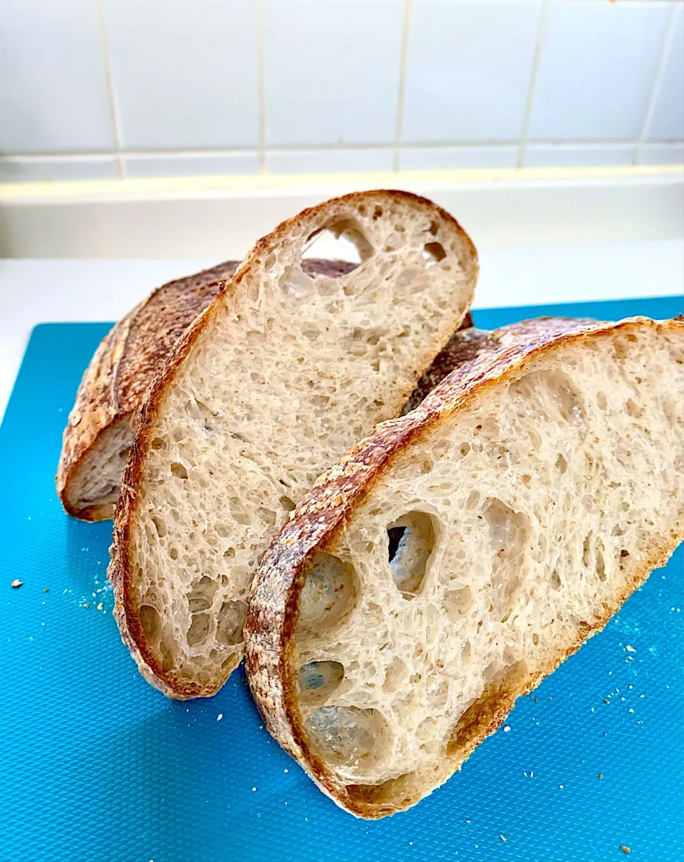 Snapdishの料理写真:Spelt and Whole Wheat Sourdough Ciabatta Bread|gonbenさん