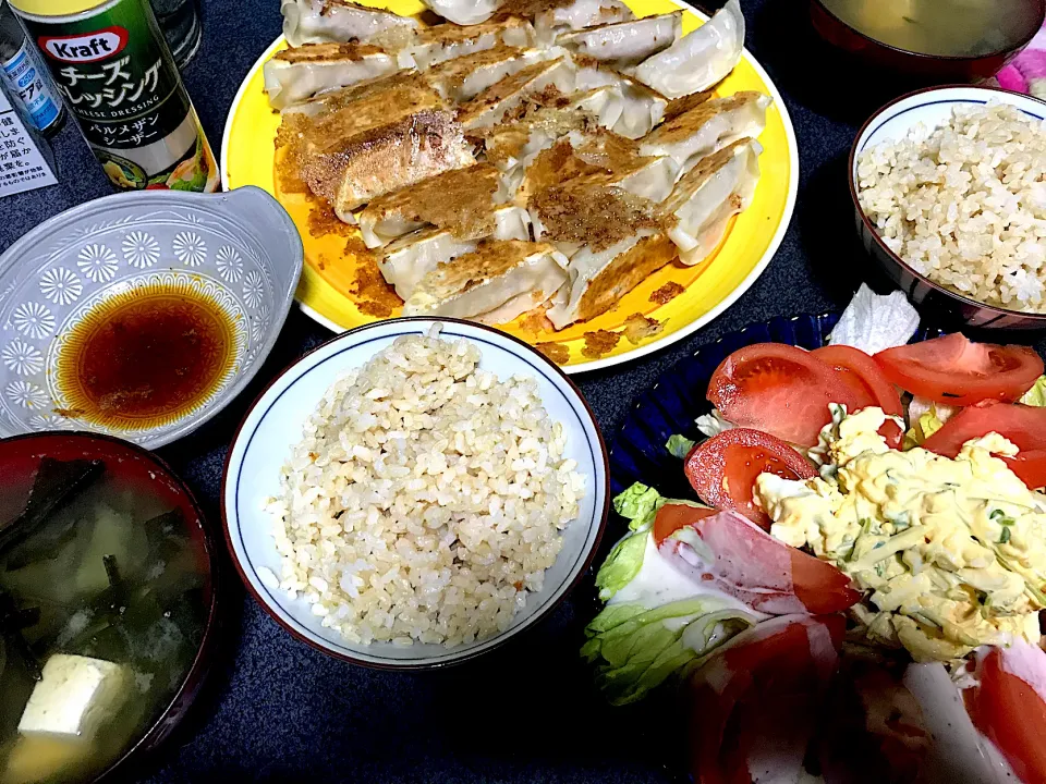 こりゃちょっとした餃子パーティーだな #夕飯　ロウカット玄米、大阪王将羽つき餃子、トマトレタス玉子サラダ(パルメザンチーズドレッシングで)、豆腐わかめ昆布味噌汁|ms903さん