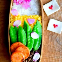 Snapdishの料理写真:春よこい弁当|gree_kozuさん