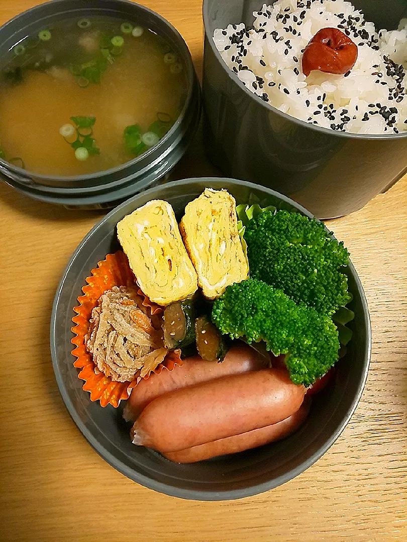 今日のお弁当|テカチュウさん