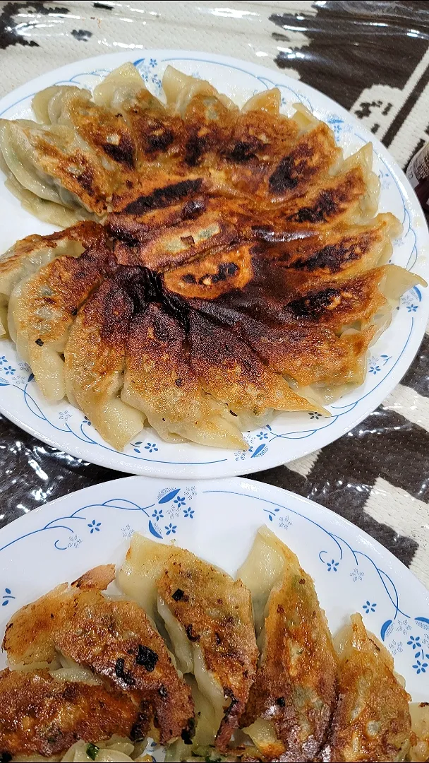 🥟手作り餃子🥟|まちまちさん