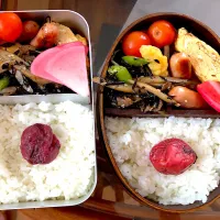 Snapdishの料理写真:今日のお弁当|momoさん