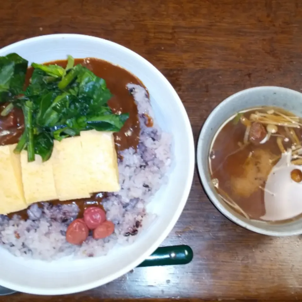 夕飯はレトルトカレー|アクちゃんさん