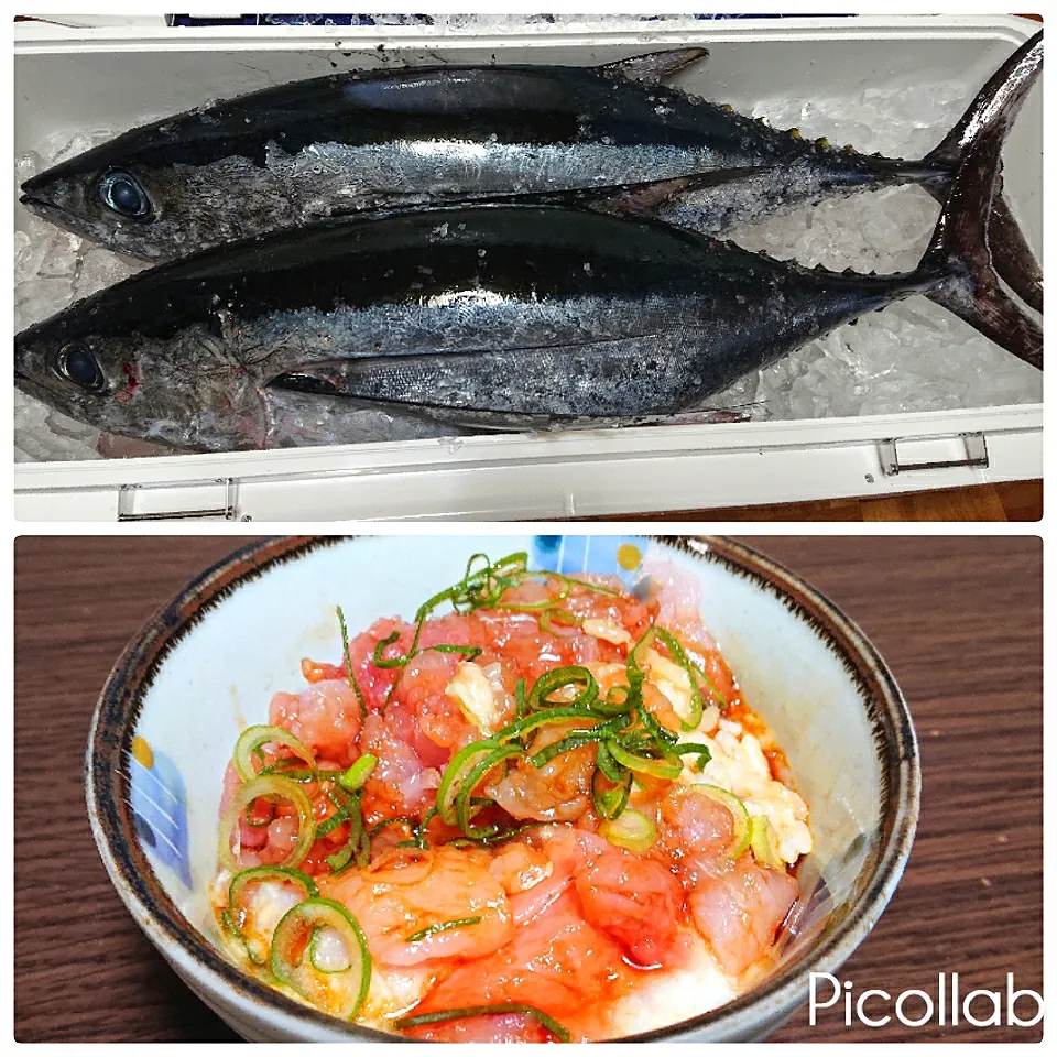 ビンチョウマグロ🐟(90センチ)釣って来てくれました🤗
裁くの二人がかりで😅
今夜はとりあえず、中落ちの所を山芋で丼で
頂きました🍴🙏
脂がのって美味しいです👍|no-noさん