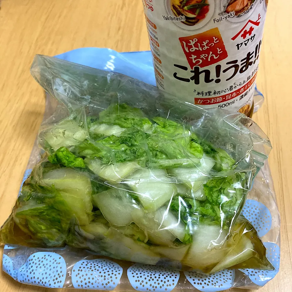 Snapdishの料理写真:白菜の浅漬け|akkoさん