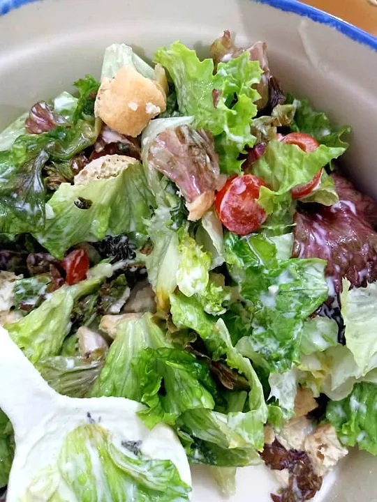 Lettuce Tomato &  Tofu salad|Harlina  (Malaysia)さん