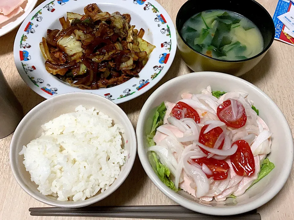 Snapdishの料理写真:★本日の晩ご飯★|mayuさん