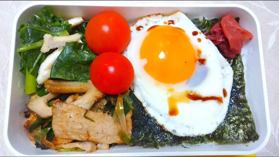 2/16の海苔弁当
今日のメインは
～葉にんにくと豚肉の醤油炒め～|卯月さん