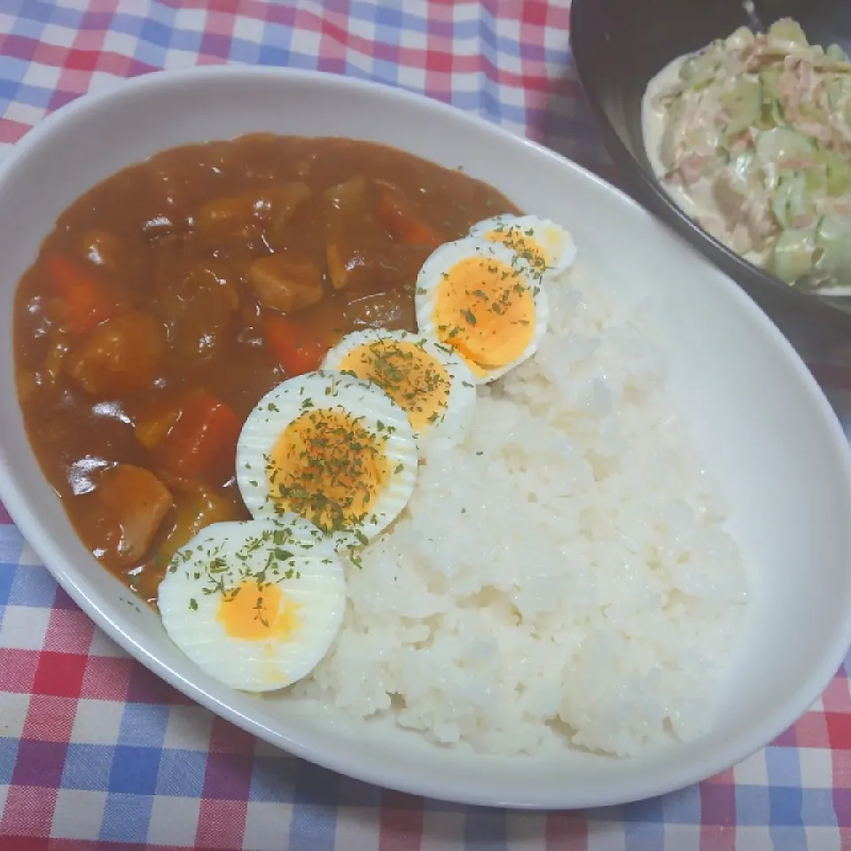 チキンカレー✨|cocco+さん