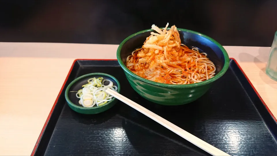 Snapdishの料理写真:かき揚げおろし蕎麦(温)|junさん