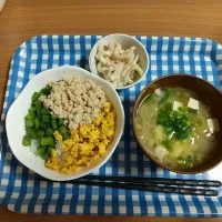 Snapdishの料理写真:３０分で三色丼定食|ひろみわさん