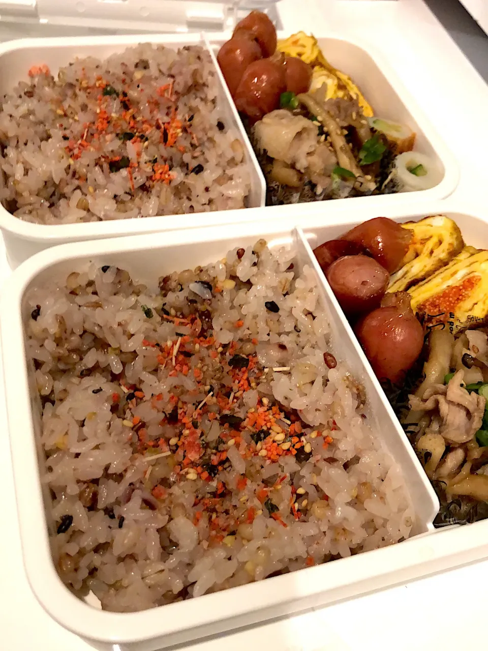 2.17冷凍弁当|みずきさん