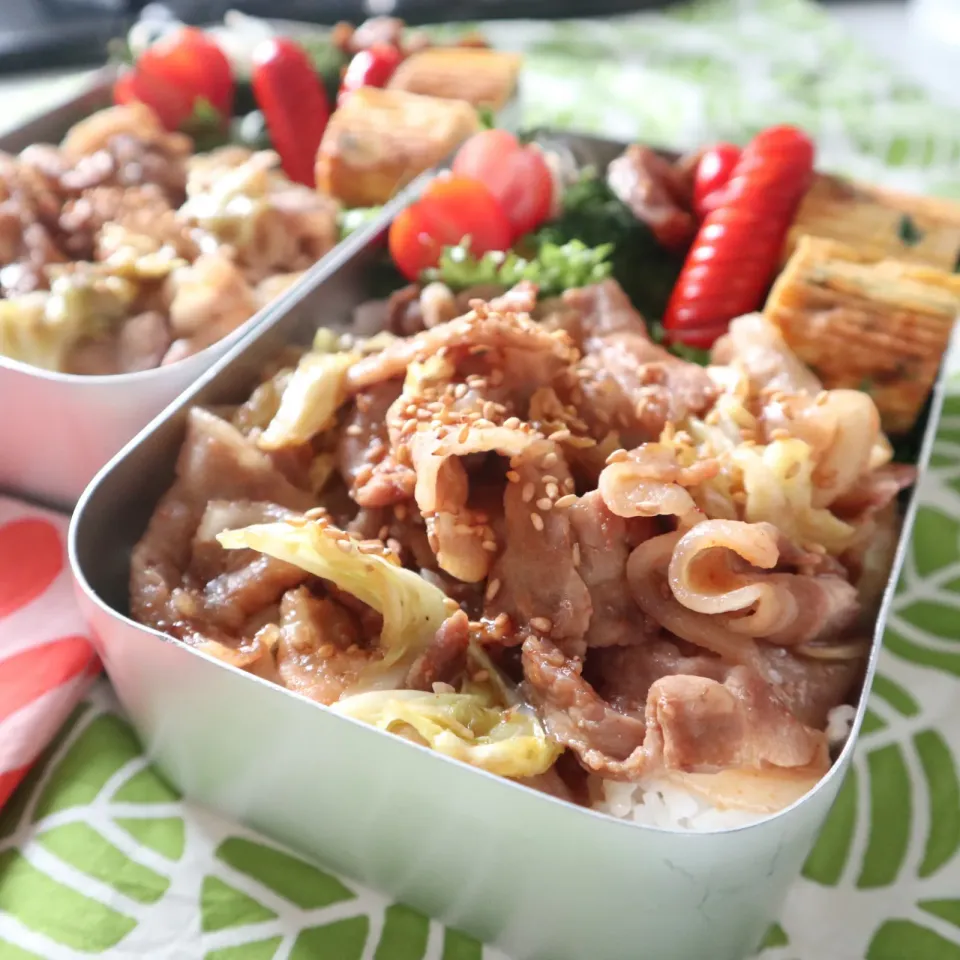 Snapdishの料理写真:中学生男子年子弁当🍱豚肉と春キャベツ丼|なかじー。さん