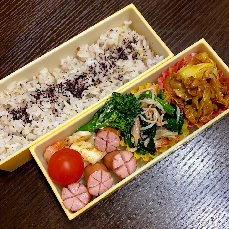 Snapdishの料理写真:お弁当|minaさん