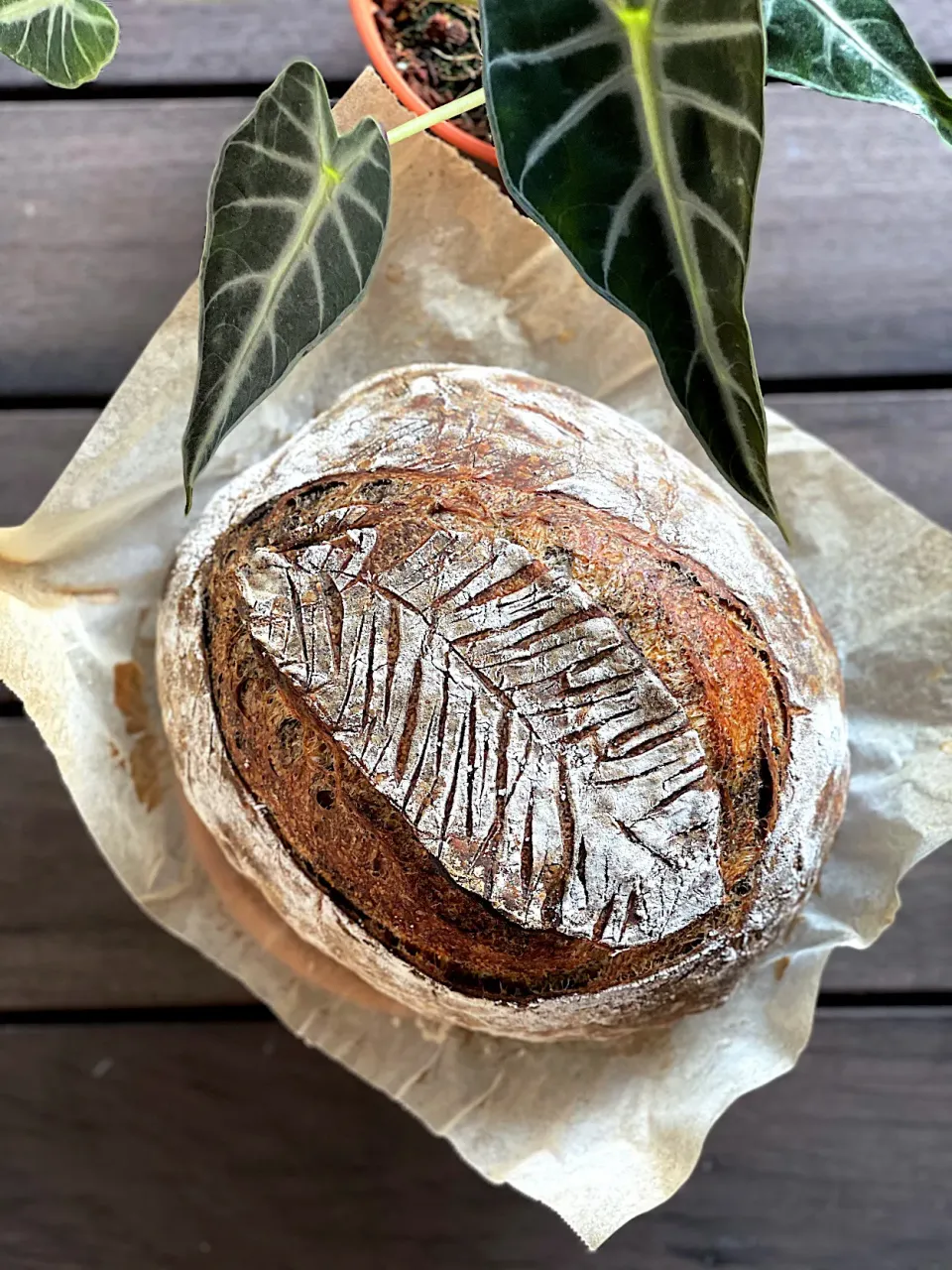 Black sesame sourdough|12Dragonさん