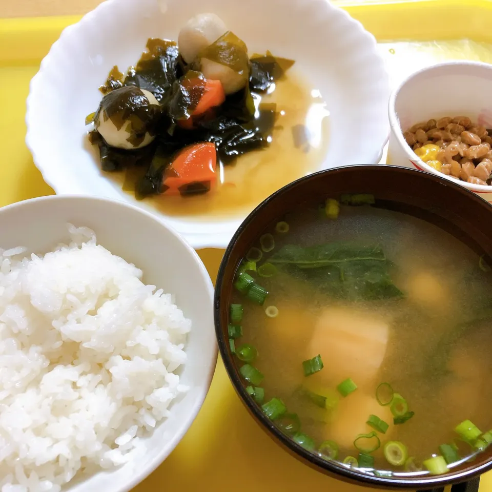 朝ご飯|まめさん