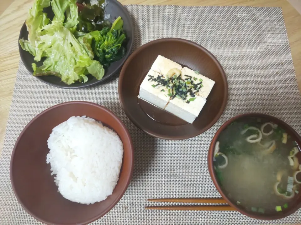 白飯
わかめの味噌汁
冷奴
ほうれん草の塩ゆで
ちぎりレタスの海藻サラダ|あぎふぁんさん