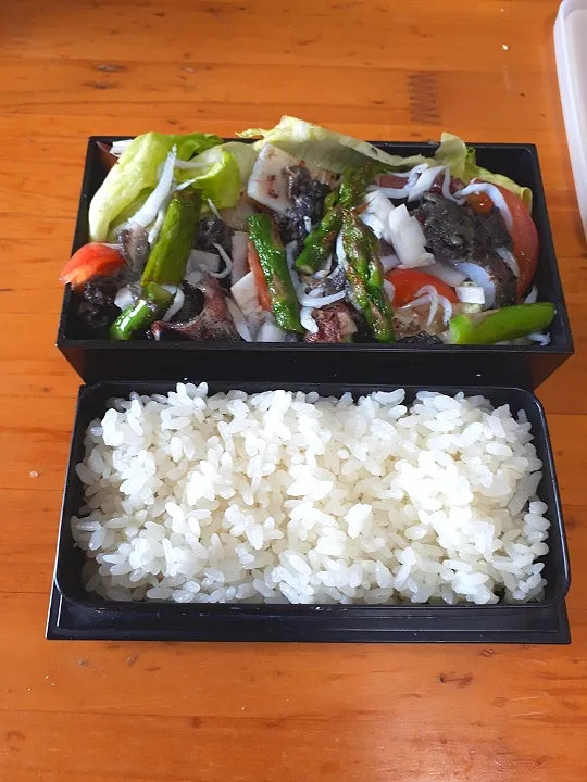 イカとしらす弁当|たんごたんごさん