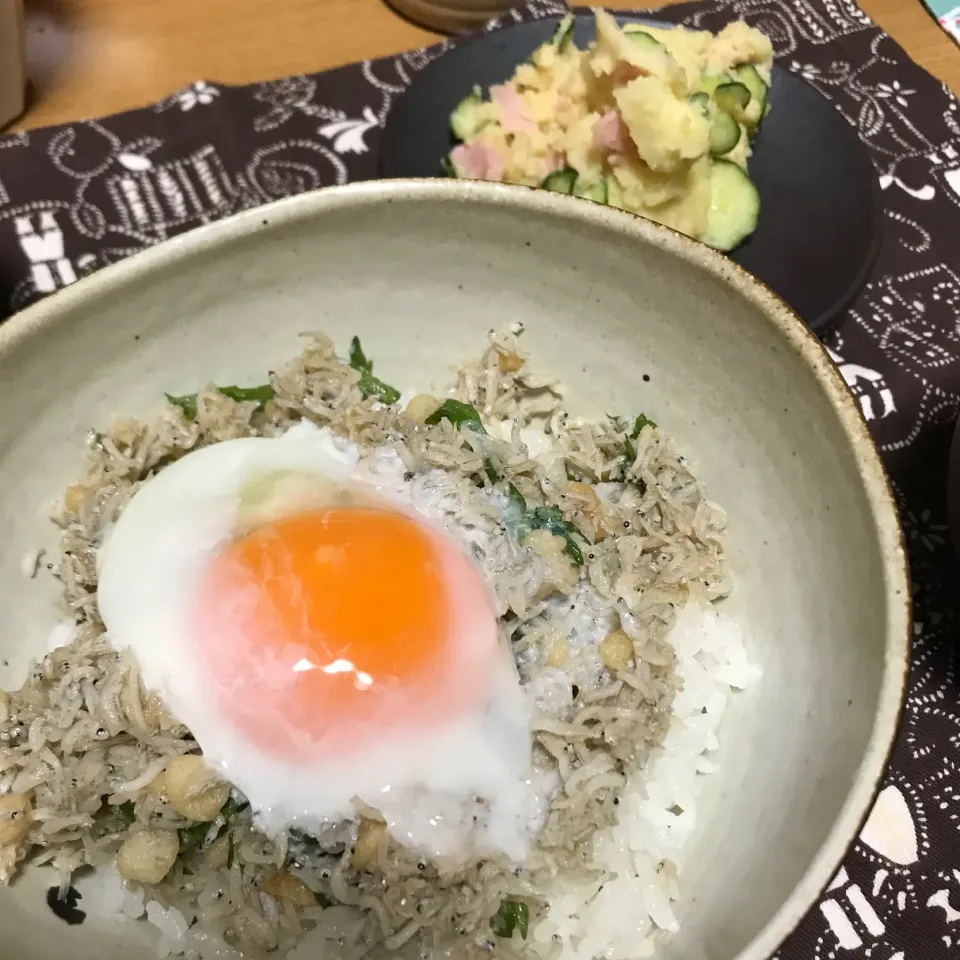 しらす丼とポテトサラダ|あさかさん