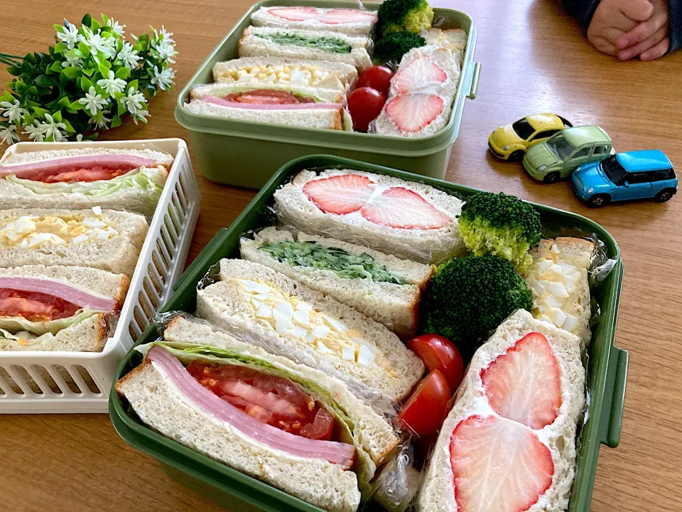 ＊ちびたん＆べびたんお誕生日🎉公園お出掛け弁当🍱＊|＊抹茶＊さん