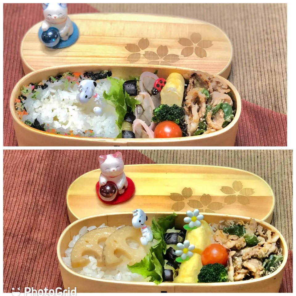 Snapdishの料理写真:豚コマ・ピーマン味噌炒め☘の双子ちゃんお弁当💙❤️ 1/13水|sweet homeさん