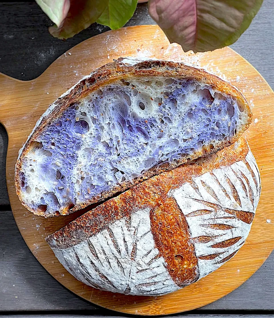 Butterfly blue pea marbled sourdough|12Dragonさん