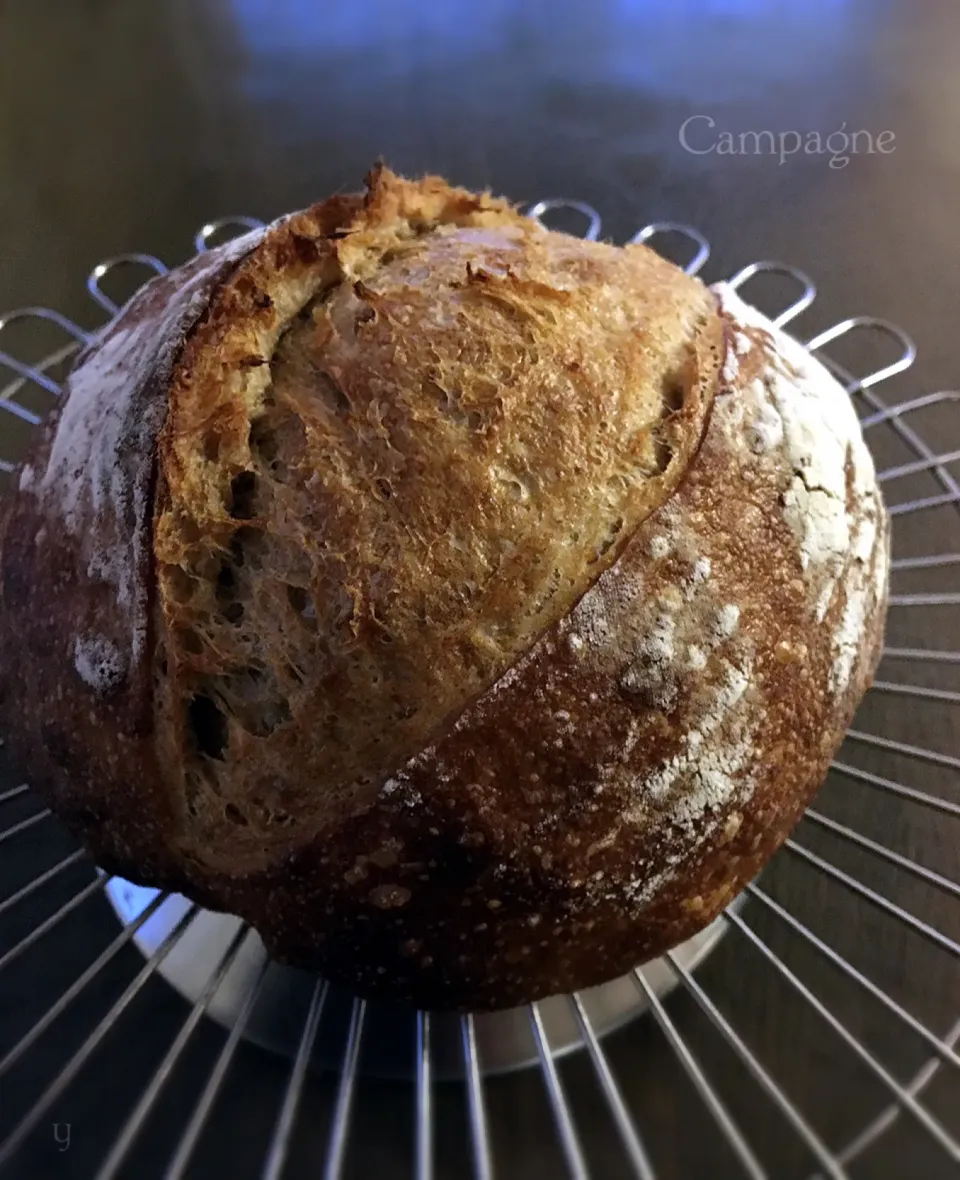 pain de campagne|yucca@さん