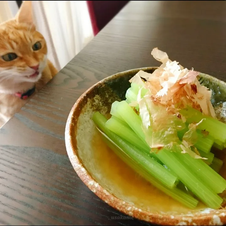 ふきの青煮|うさかめさん