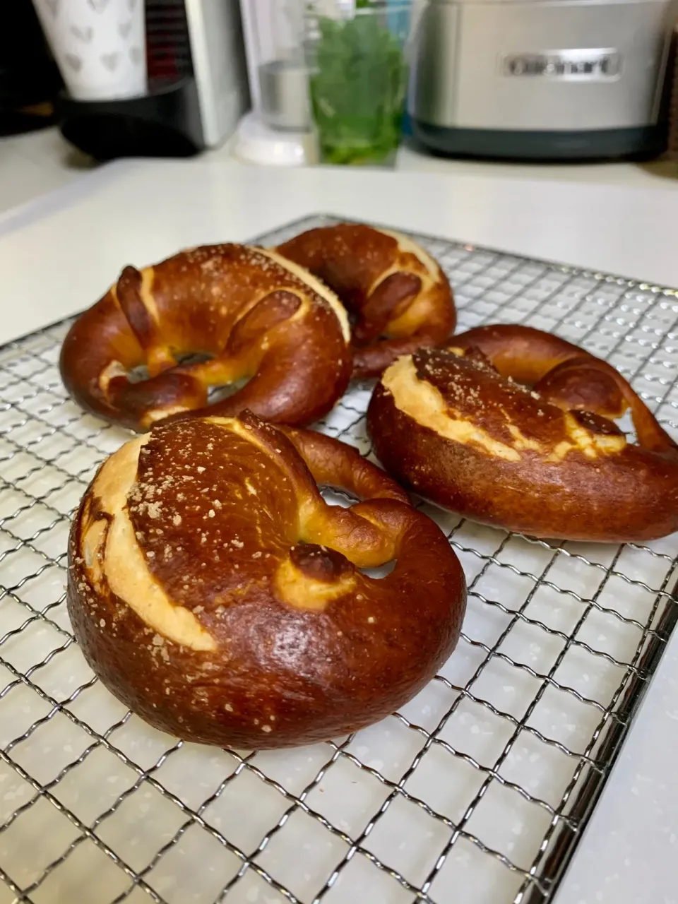 Sourdough Pretzels|gonbenさん