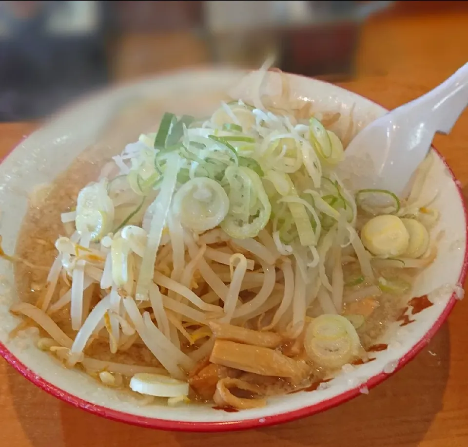 醤油らーめんモヤシトッピング|哲さん