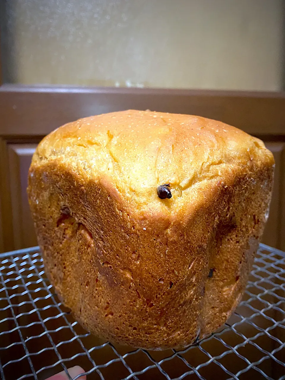 Snapdishの料理写真:ＨＢでチョコバナナとあんずの食パン🍞バナナ救済レシピ🍌|1614さん