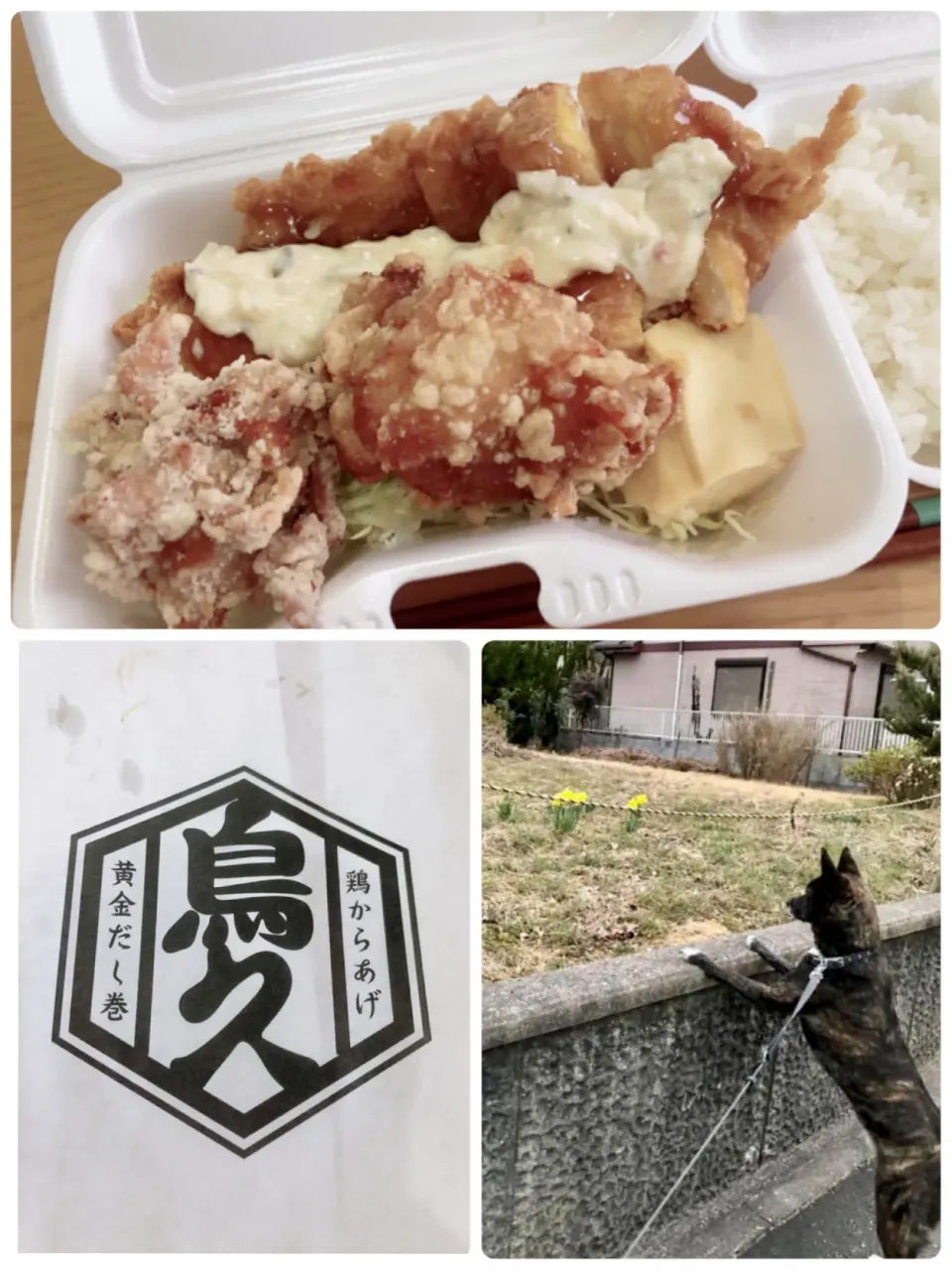 今日の昼は鳥久の唐揚げ弁当🐔気付いたら唐揚げ専門店が出来てたので買ってみた。|海斗さん