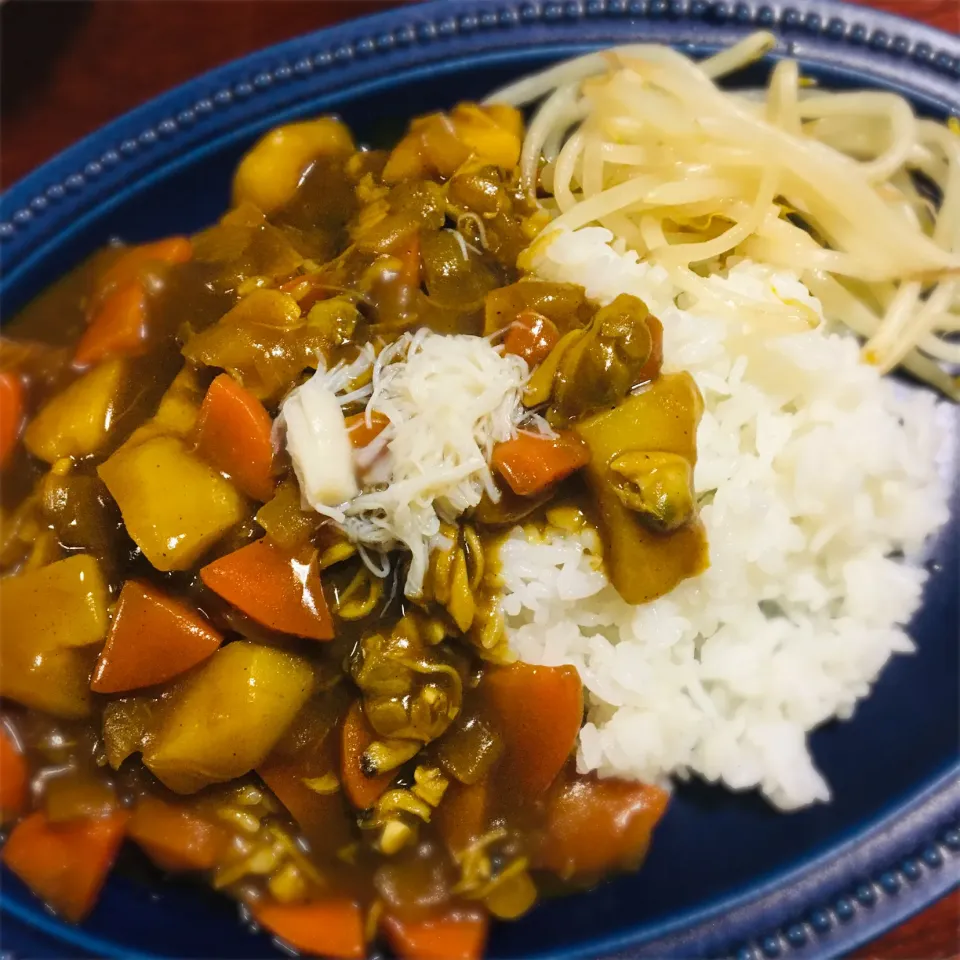 カレー1日目|な。さん