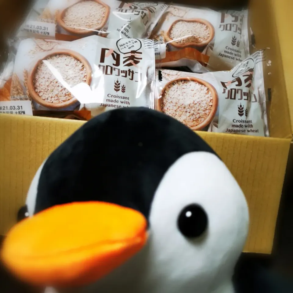 ペンギン🐧さんの、娘から
お届けもの😮👍🤪|ペンギンさん