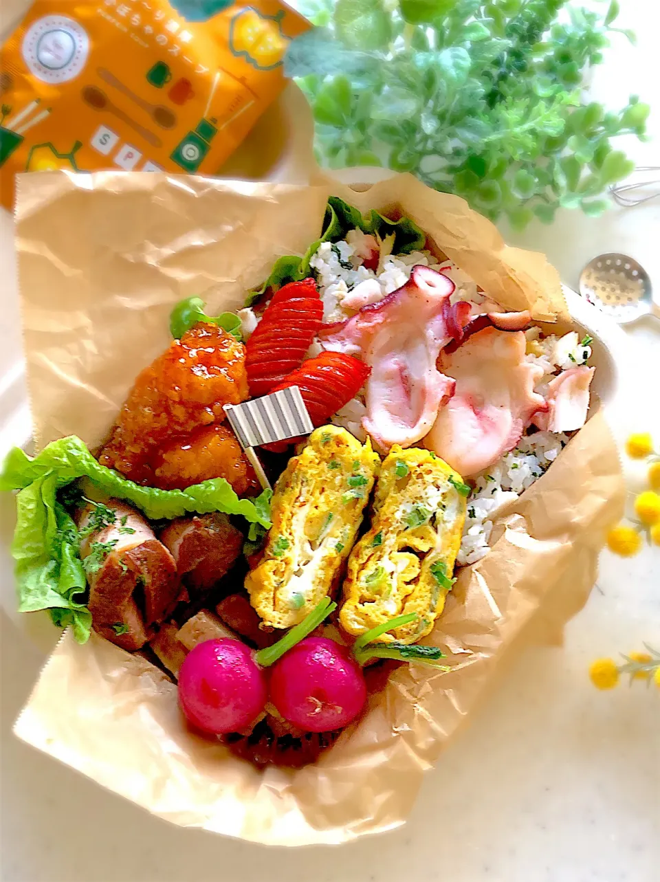 タコ🐙鯛🐟の混ぜごはんお弁当🍱|みゆきさん