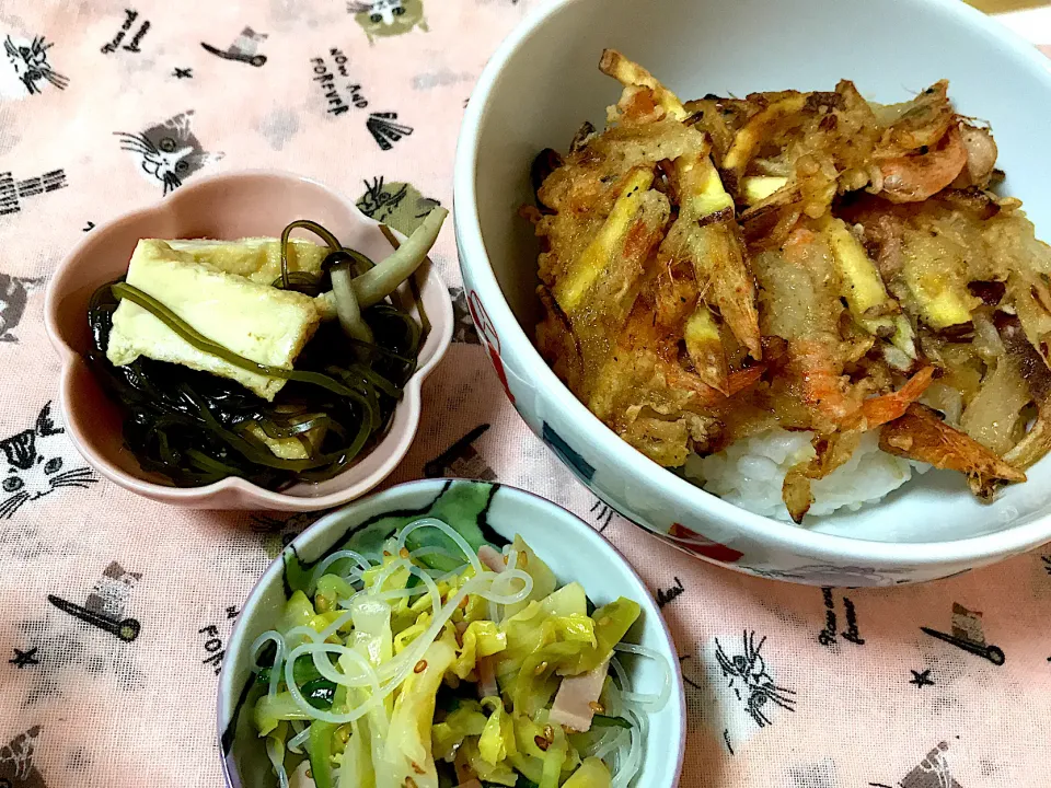 かき揚げ丼 春雨サラダ すき昆布|はるかさん