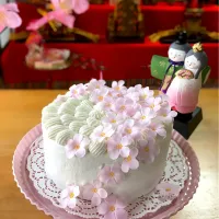 Snapdishの料理写真:糀甘酒入りのひな祭りケーキです〜🌸✴🎎✴🌸     お砂糖のさくら🌸咲いてます(⑉• •⑉)♡