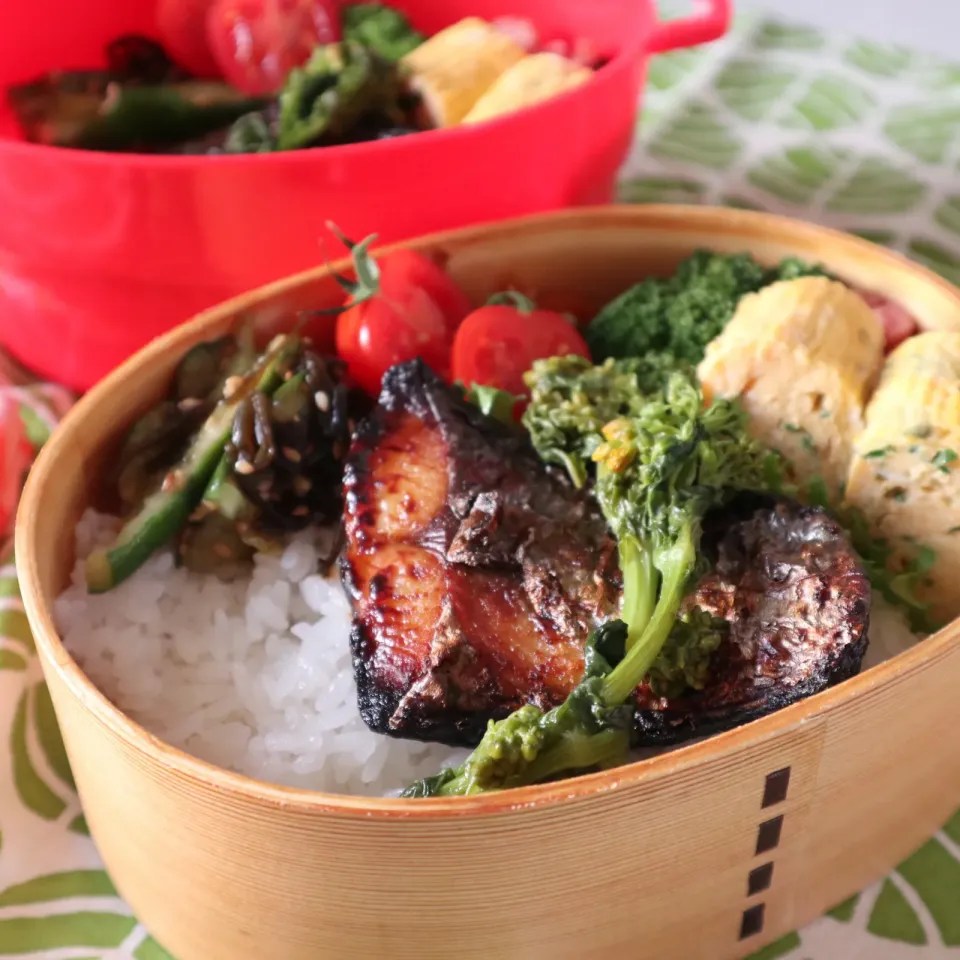 中学生男子年子弁当🍱焼きすぎてしまった西京焼き😆|なかじー。さん