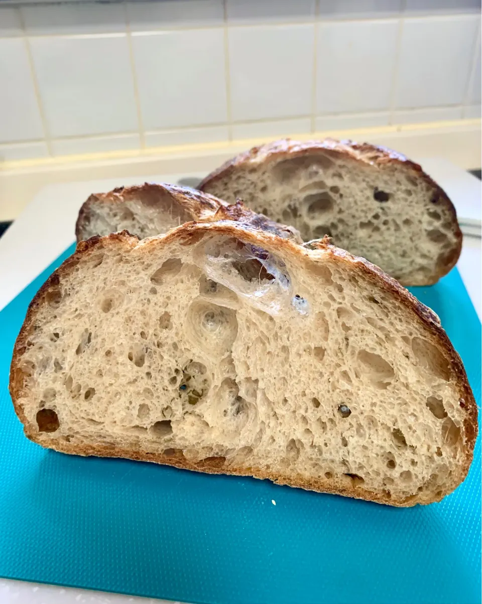 crumb of previous sourdough country loaf|gonbenさん