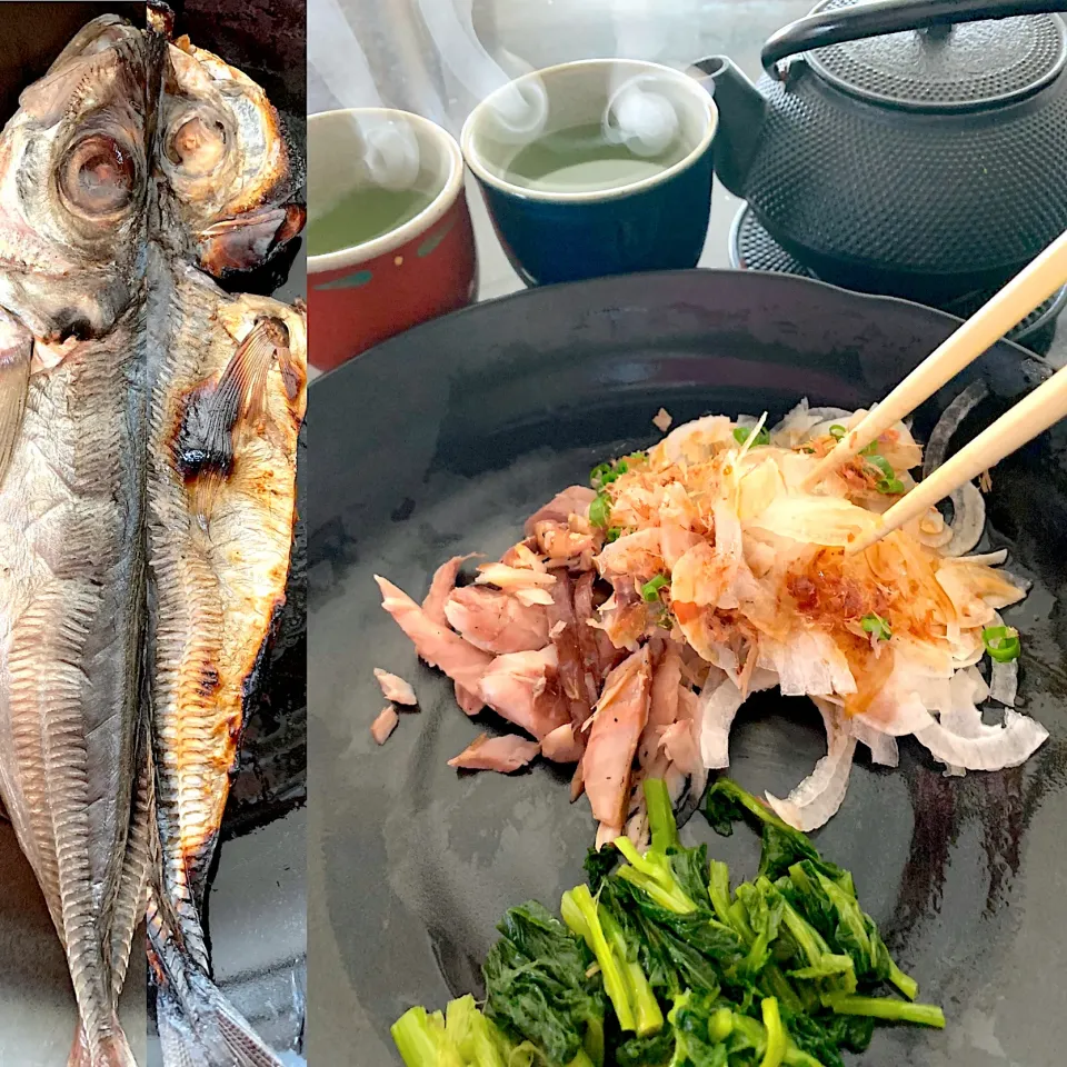 鯵の開きのお茶ウケ🤣🤣🤣👏|シュトママさん